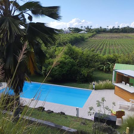 T2 Jardin Clos Les Nids De La Colline Saint-Francois  Exterior foto