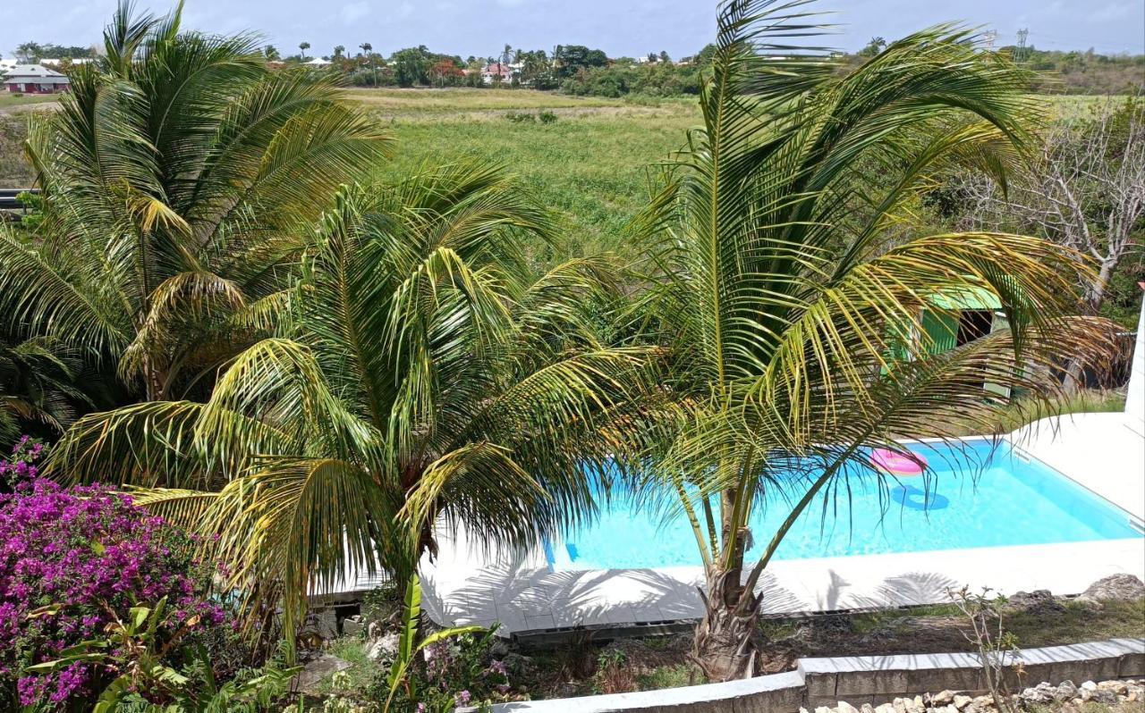 T2 Jardin Clos Les Nids De La Colline Saint-Francois  Exterior foto