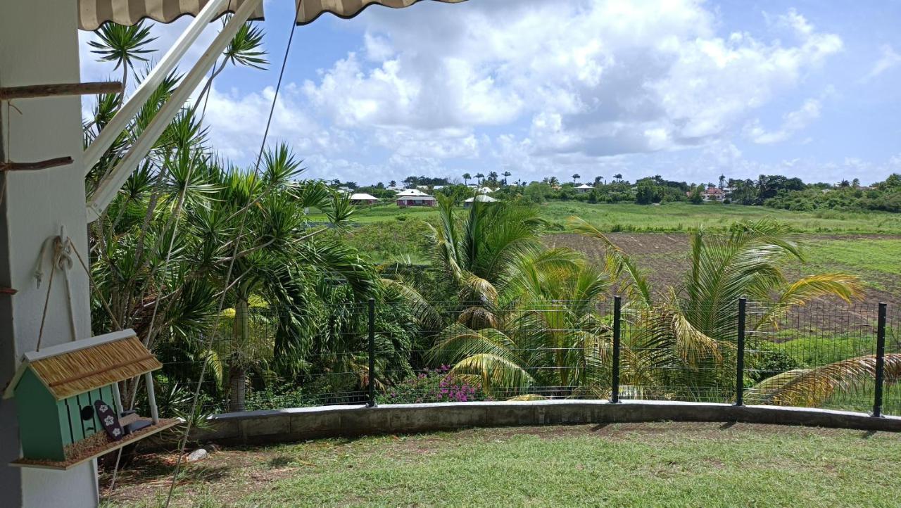 T2 Jardin Clos Les Nids De La Colline Saint-Francois  Exterior foto