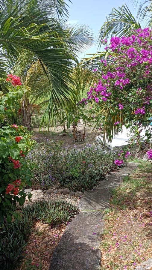 T2 Jardin Clos Les Nids De La Colline Saint-Francois  Exterior foto